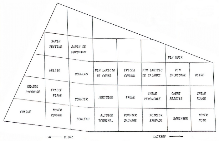 [Plan de l'arboretum]
